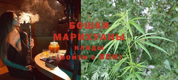 a pvp Новозыбков