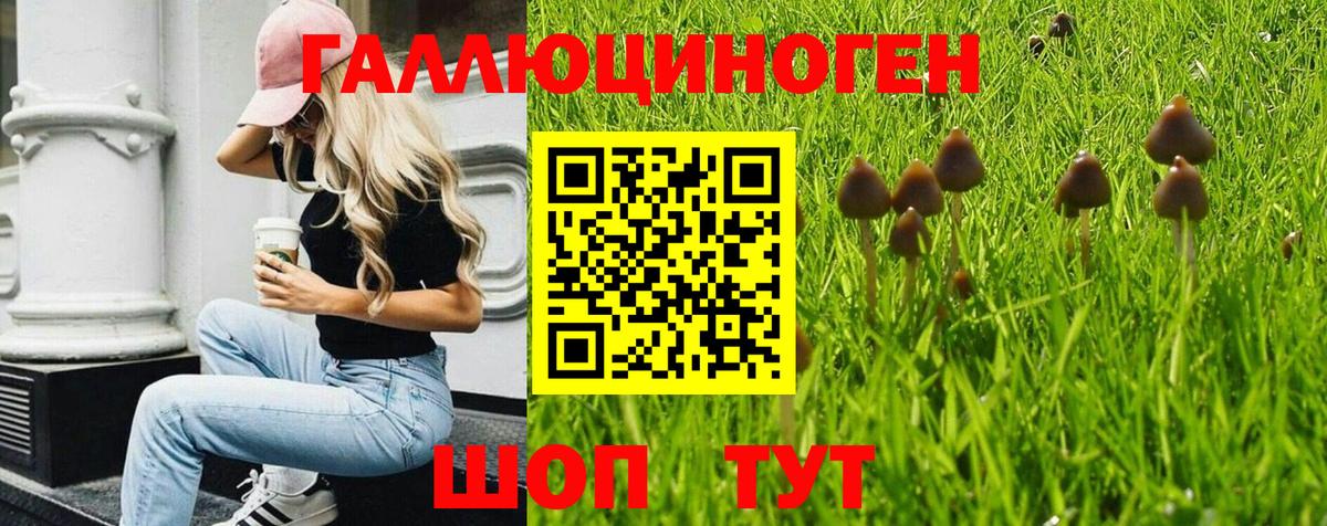Гашиш  Гашиш  МЕФ кристаллы  APVP СОЛЬ кристаллы  Вход с VPN  Марихуана  Вейп ТГК  НБОМе  Новоуральск  COCAIN 