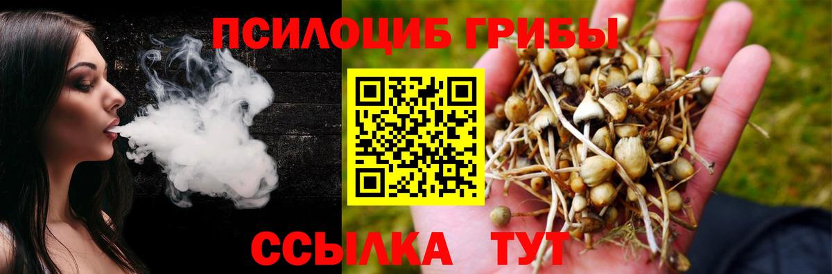 Галлюциногенные грибы Magic Shrooms Новоуральск
